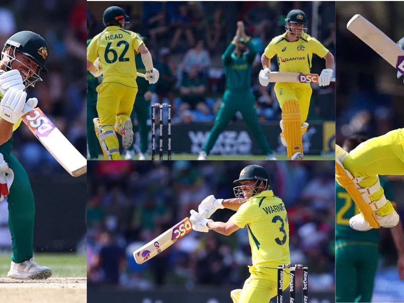 David Warner Scored 106 Runs In Just So Many Balls And Gave Victory To Australia, Watch Video