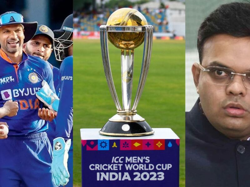 These 4 Players Had Risked Their Lives To Win The World Cup, But Bcci Dropped Them From Team India.