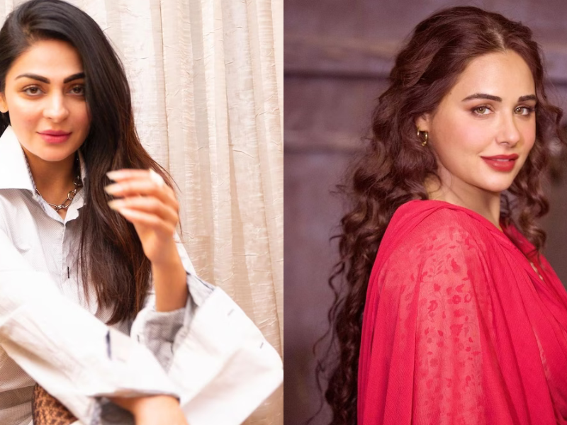 6 Punjabi Actresses Whose Earnings Are In Crores, You Will Be Shocked To Hear Their Net Worth