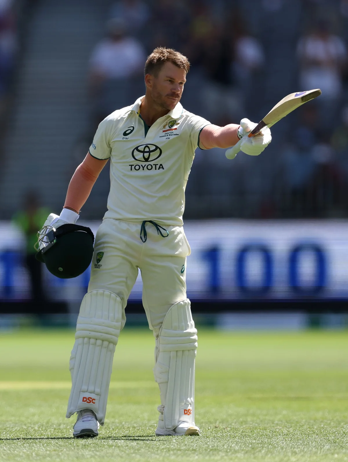 David Warner
