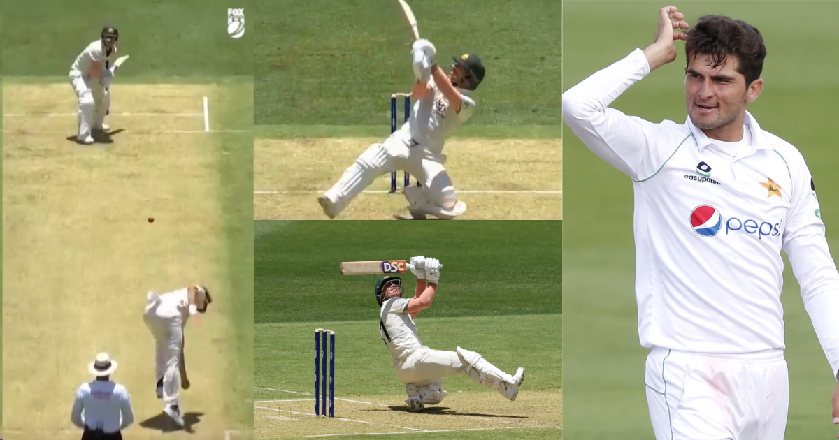 David Warner Hits 360 Degree Shot In Aus Vs Pak Test Match, Video Goes Viral