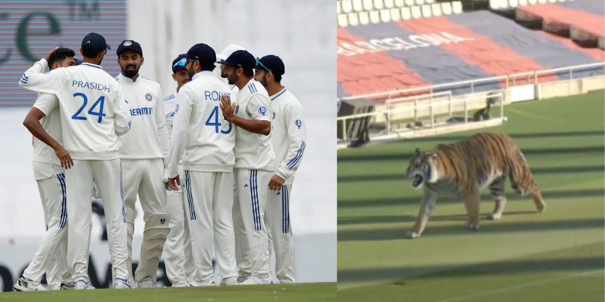 Tiger-Entered-In-Ind-Vs-Sa-Match-Video-Went-Viral-See-The-Full-Video-Here