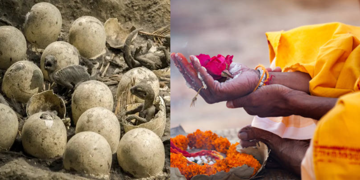 People Were Worshiping Dinosaur Eggs As Totems In Madhya Pradesh