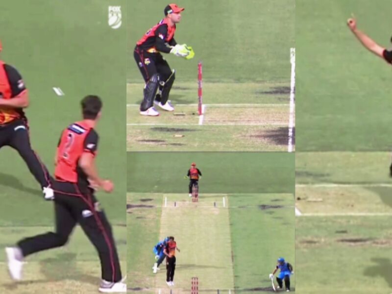 Huge Drama In Big Bash League A Batsman Got Run Out In The Third Attempt On A Single Delivery