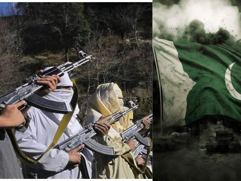 Terrorists Killed Maximum Number Of Pakistani Citizens In The Year 2023