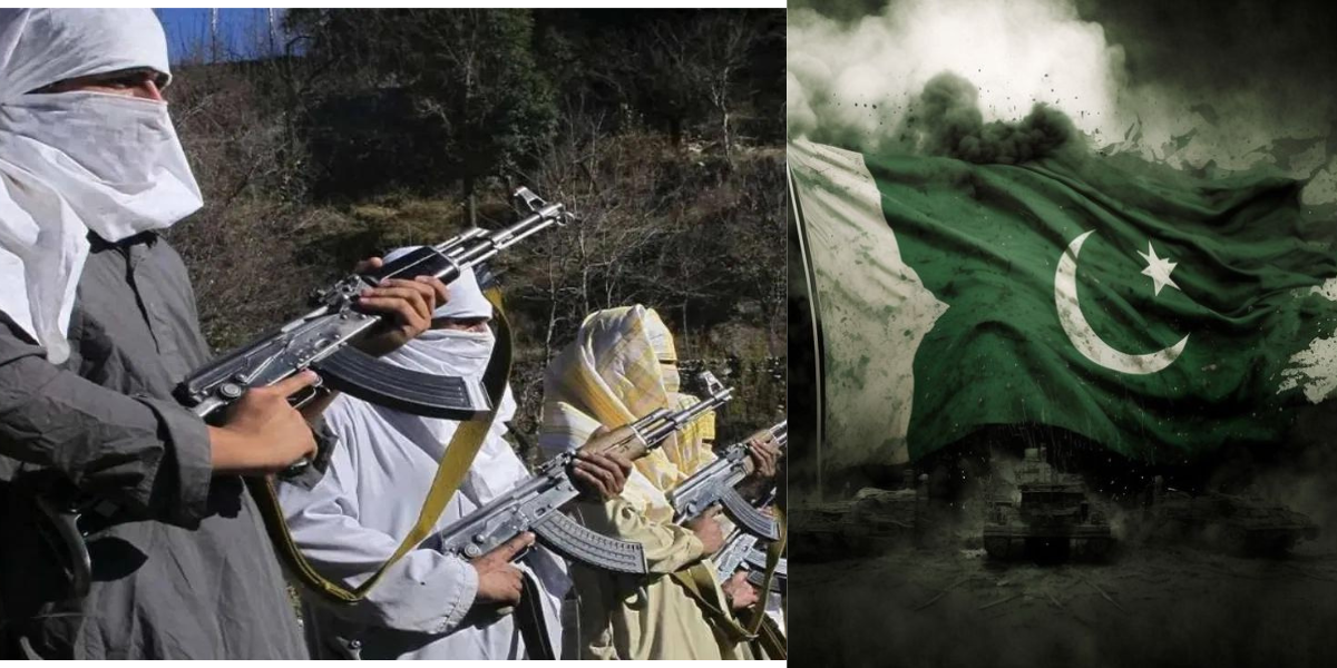 Terrorists Killed Maximum Number Of Pakistani Citizens In The Year 2023