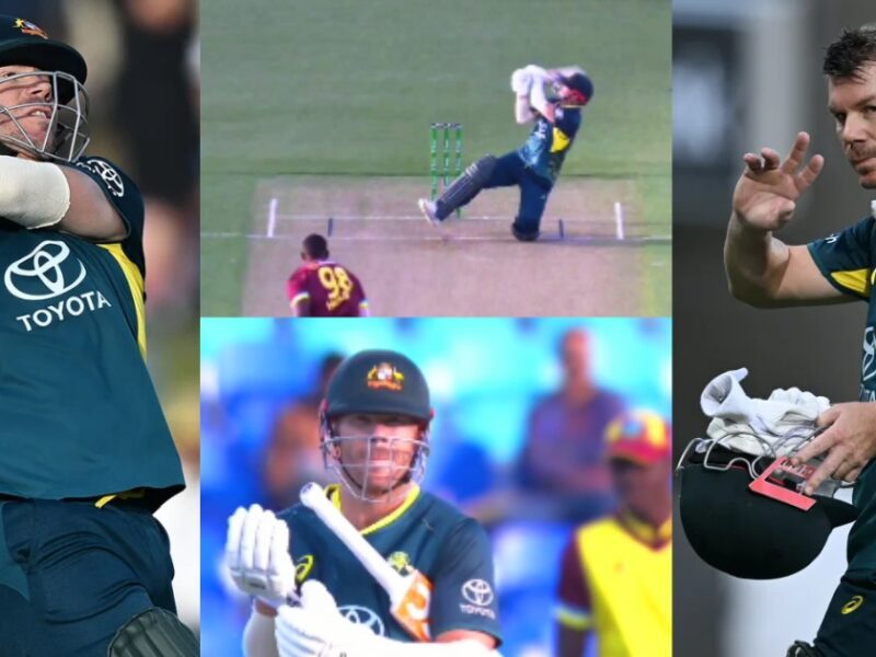 David Warner Played A Sensational Knock Against West Indies In His 100Th T20 Match
