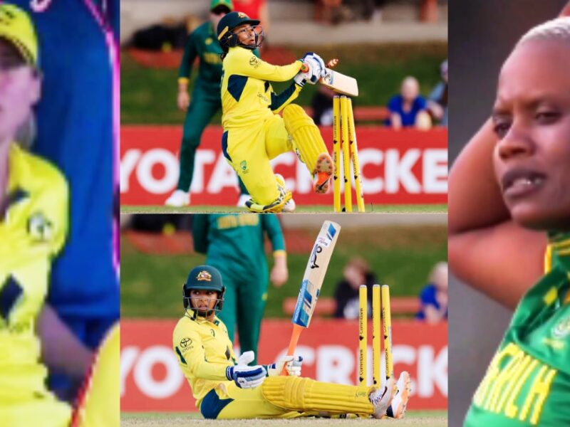 Ausw Vs Saw Batsman Hit Wicket On A No Ball But Ball Went For 6 Runs Bizarre Incident