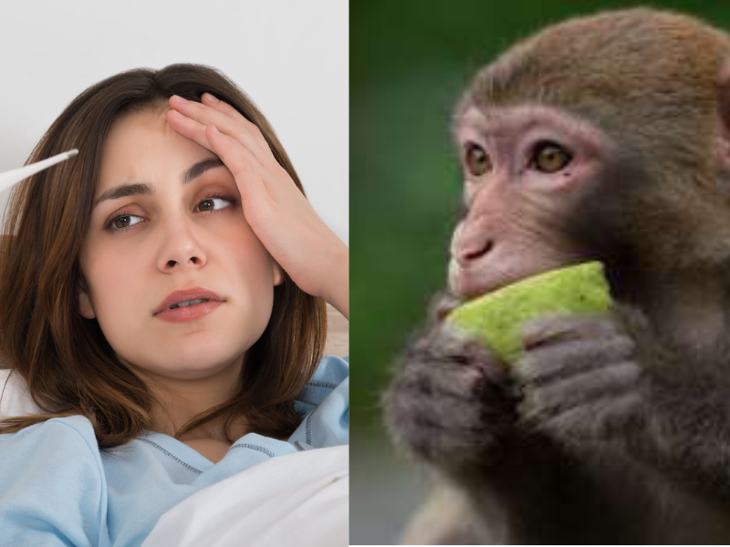What-Is-Monkey-Fever-Know-About-Its-Symptoms-And-Treatment