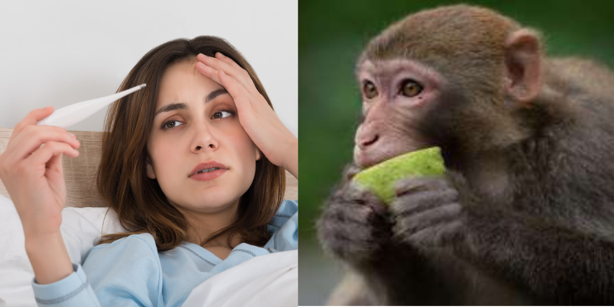 What-Is-Monkey-Fever-Know-About-Its-Symptoms-And-Treatment