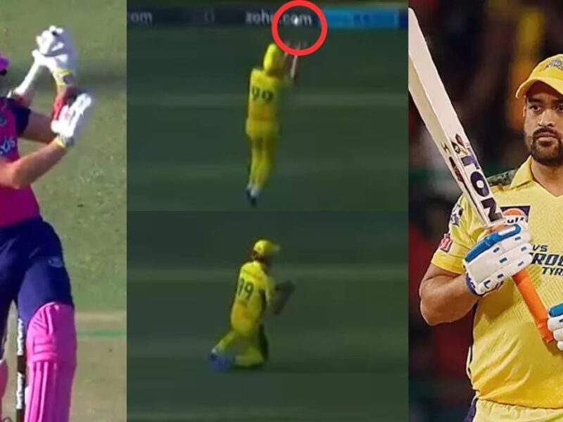 44 Year Old Cricketer Catches Spectacular Catch In Sa 20 League 2024, Video Goes Viral