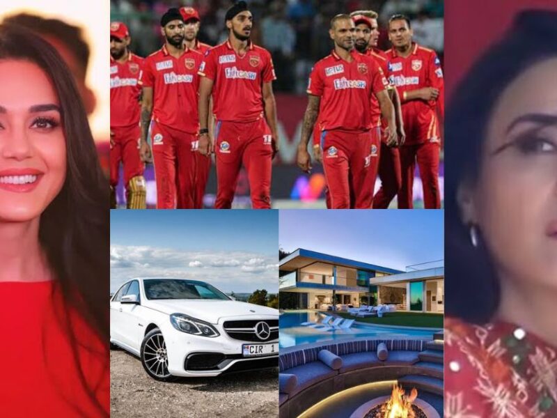 Punjab-Kings-Co-Owner-Preity-Zinta-Earns-A-Lot