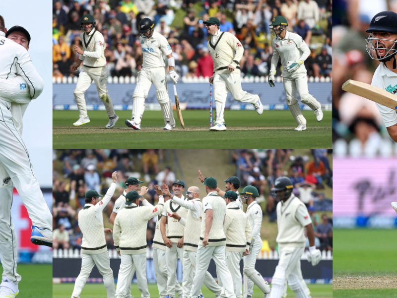 Australia Defeated New Zealand By 172 Runs In The First Test Match
