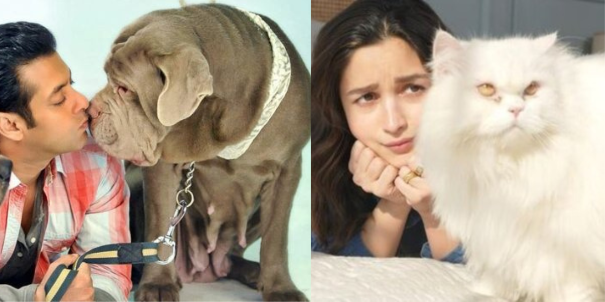 These-Famous-Bollywood-Stars-Are-Pet-Lovers