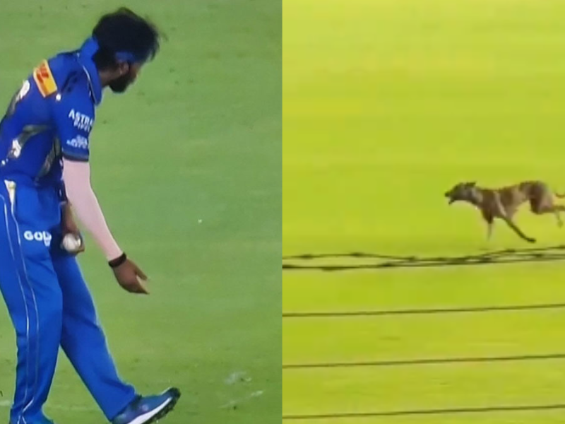 Dog-Ran-In-The-Stadium-In-The-Live-Match-The-Fans-Remember-Hardik-Pandya-Raised-Slogans-Of-Dog-Dog