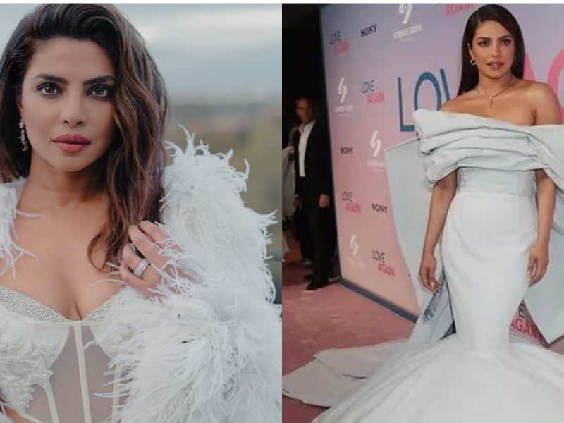 You Will Be Shocked To Know The Net Worth Of Priyanka Chopra.