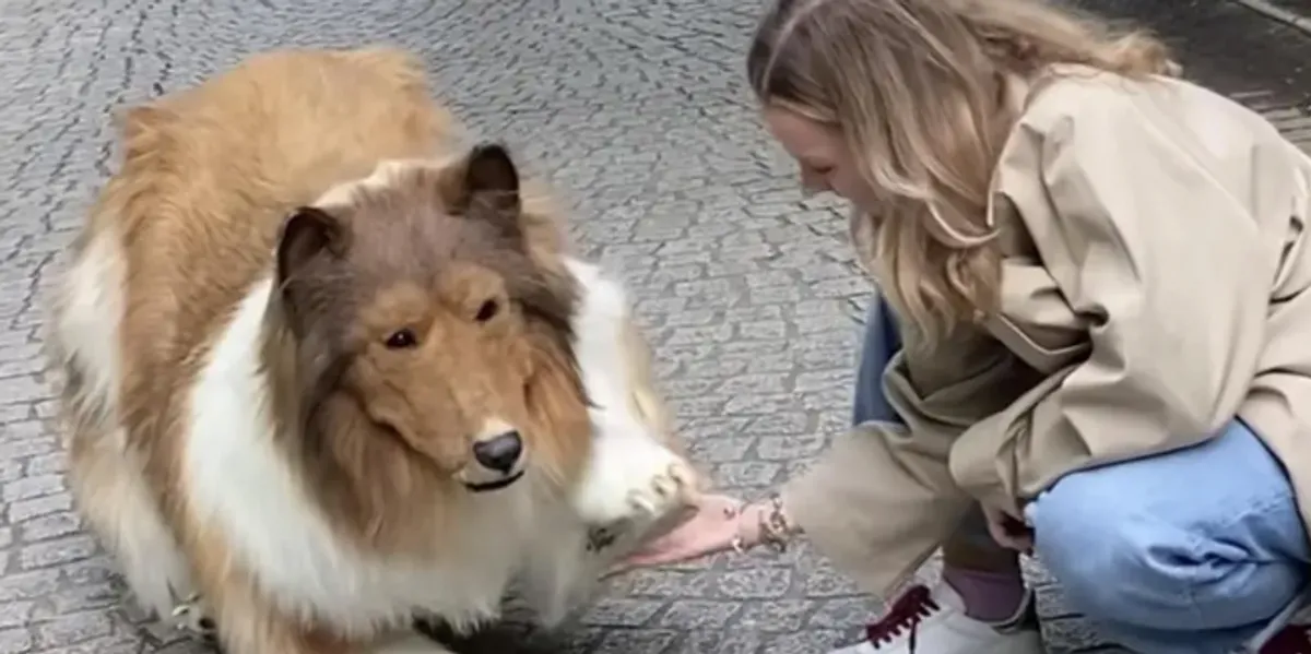 Man Turned Himself Into Dog