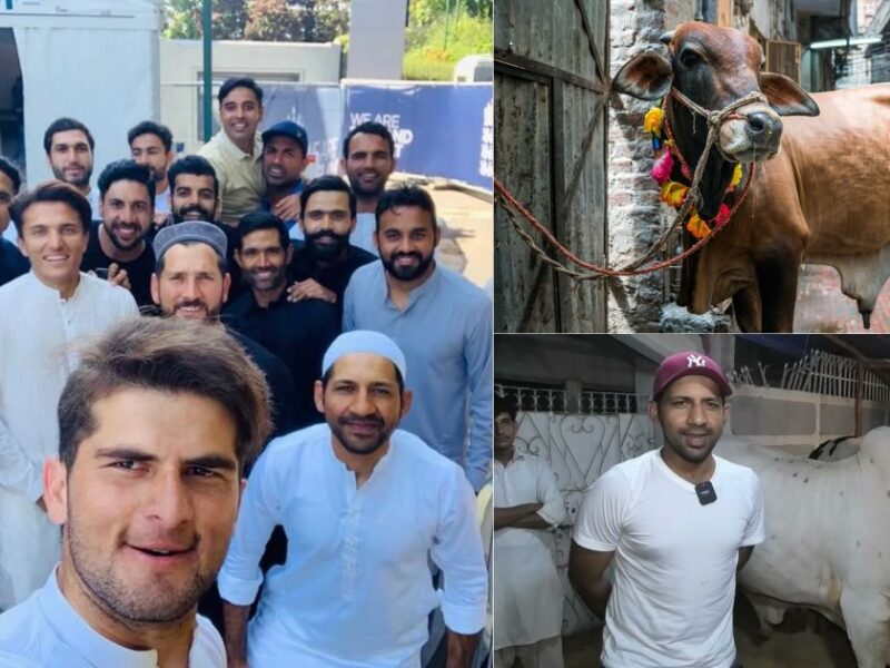 Pakistan Players Bought Bulls Worth Crores Of Rupees For Sacrifice, Forgot Their Sorrow On The Occasion Of Bakrid