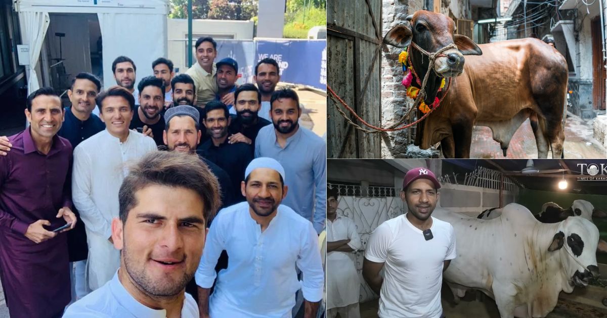 Pakistan Players Bought Bulls Worth Crores Of Rupees For Sacrifice, Forgot Their Sorrow On The Occasion Of Bakrid