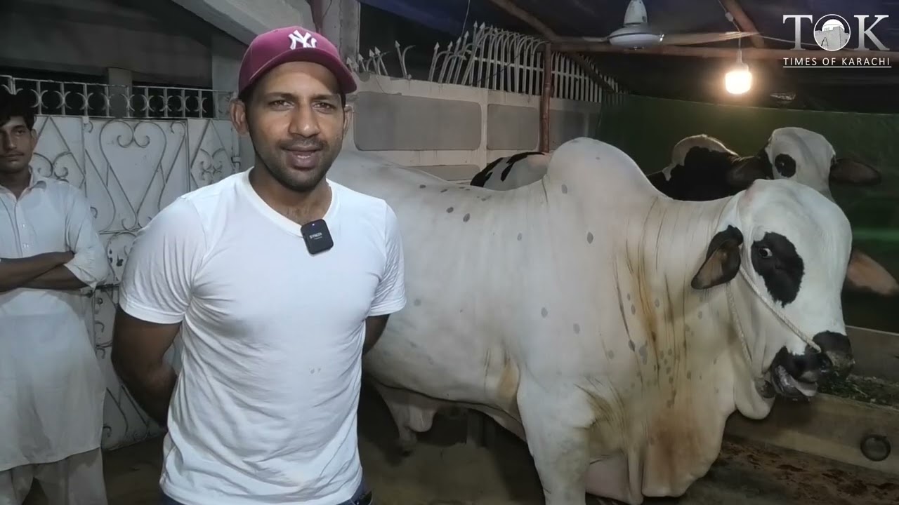 Sarfraz Ahmed