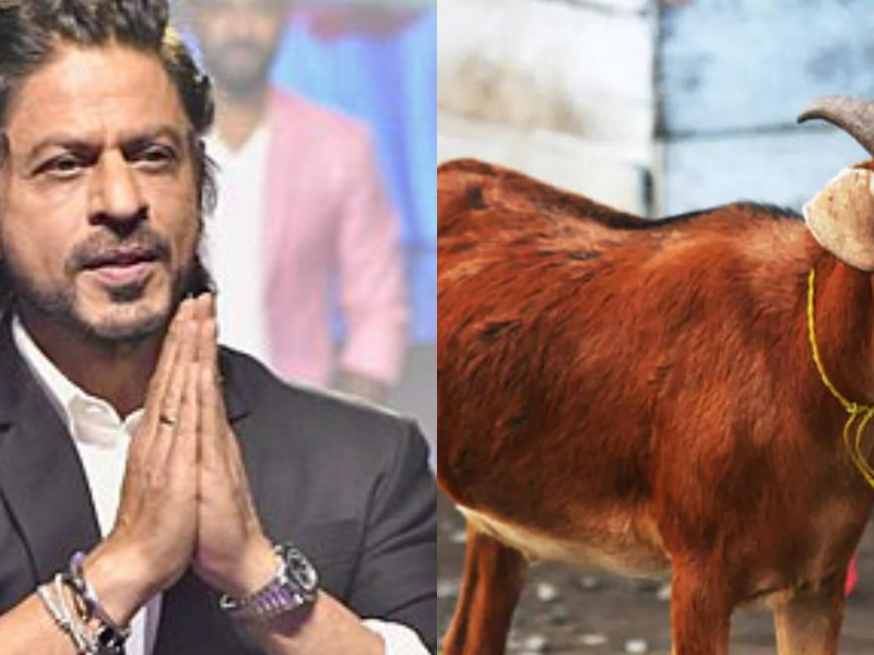 Eid-Ul-Adha-This-Khan-Of-Bollywood-Will-Not-Sacrifice-Any-Animal-On-Bakrid-Said-I-Will-Celebrate-The-Bloodless-Festival