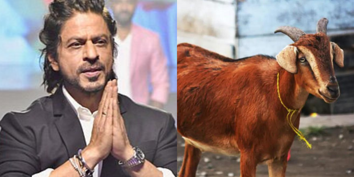 Eid-Ul-Adha-This-Khan-Of-Bollywood-Will-Not-Sacrifice-Any-Animal-On-Bakrid-Said-I-Will-Celebrate-The-Bloodless-Festival