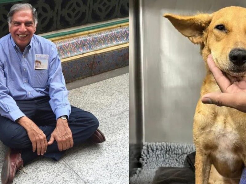 Ratan Tata Donated One Unit Of Blood To A Dog, You Will Also Salute Him After Knowing The Reason