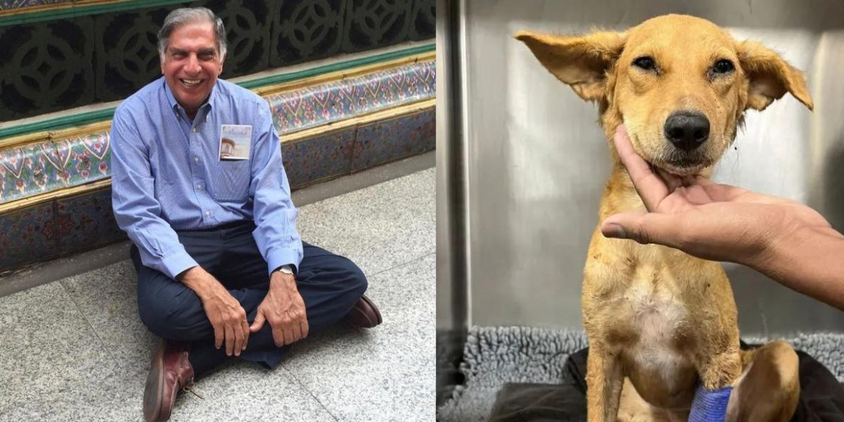 Ratan Tata Donated One Unit Of Blood To A Dog, You Will Also Salute Him After Knowing The Reason