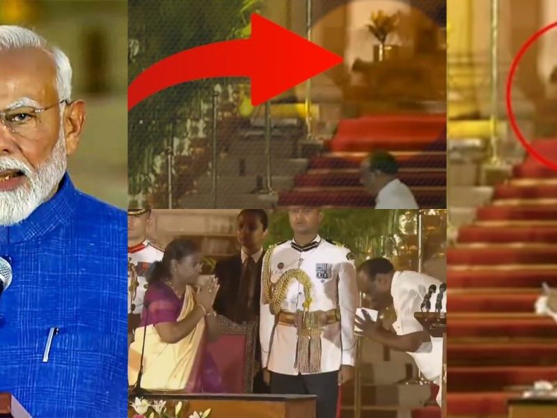 An Unknown Animal Was Seen Roaming In Rashtrapati Bhavan During Pm Modi'S Oath Ceremony - Video Went Viral
