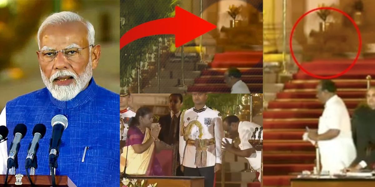 An Unknown Animal Was Seen Roaming In Rashtrapati Bhavan During Pm Modi'S Oath Ceremony - Video Went Viral