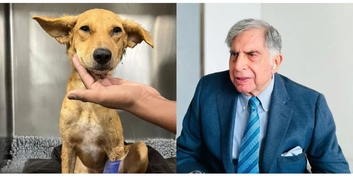 Ratan Tata
