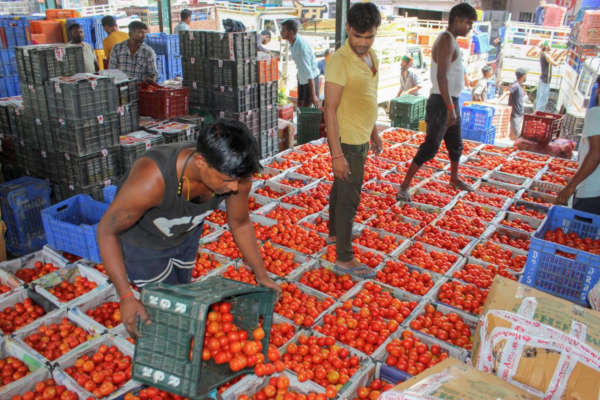 Tomato Price