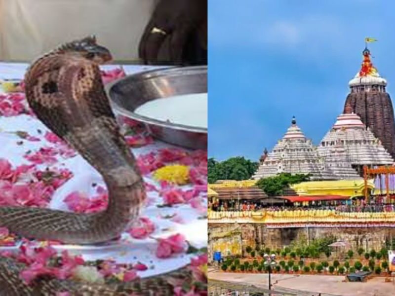 Is The Serpent God Protecting The Treasure Of Gems Of Jagannath Temple? This Secret Was Revealed After 46 Years