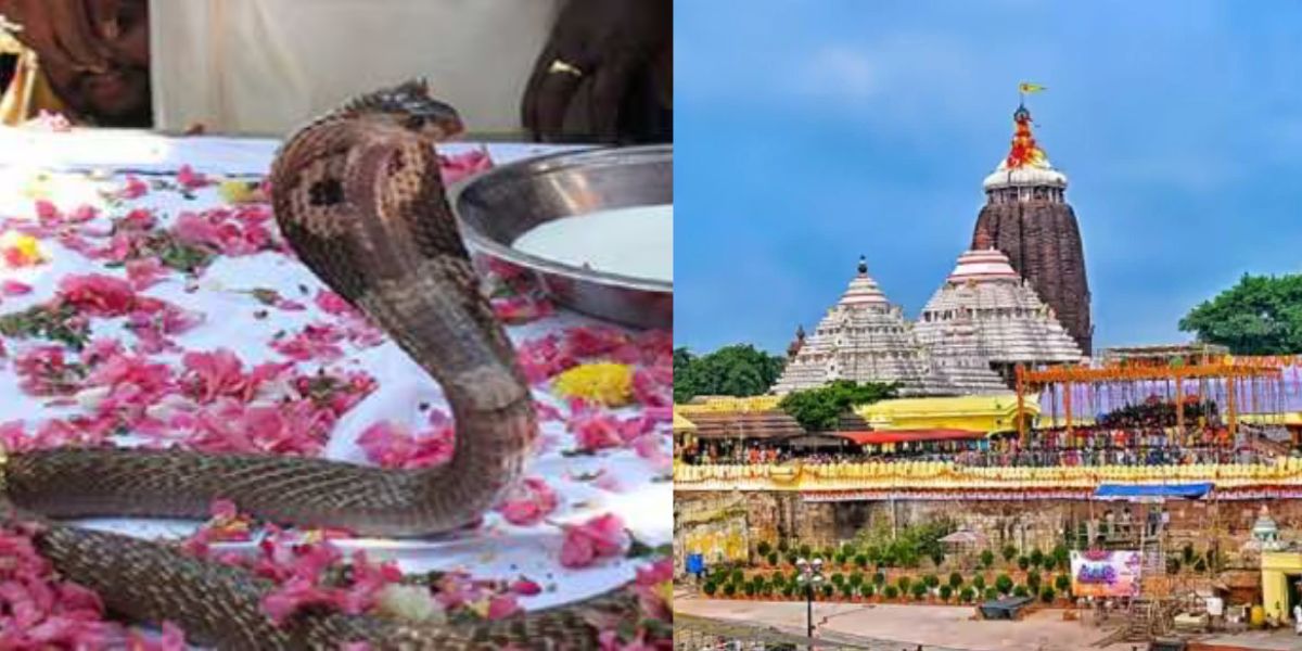 Is The Serpent God Protecting The Treasure Of Gems Of Jagannath Temple? This Secret Was Revealed After 46 Years