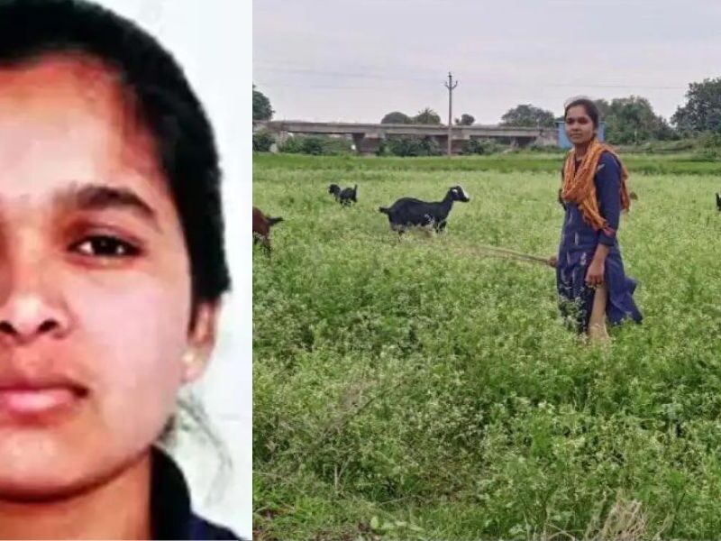 Tribal-Student-Badavath-Madhulatha-This-Girl-Is-Grazing-Goats-In-The-Fields-Even-After-Passing-Itt-Tears-Will-Not-Stop-After-Knowing-The-Reason