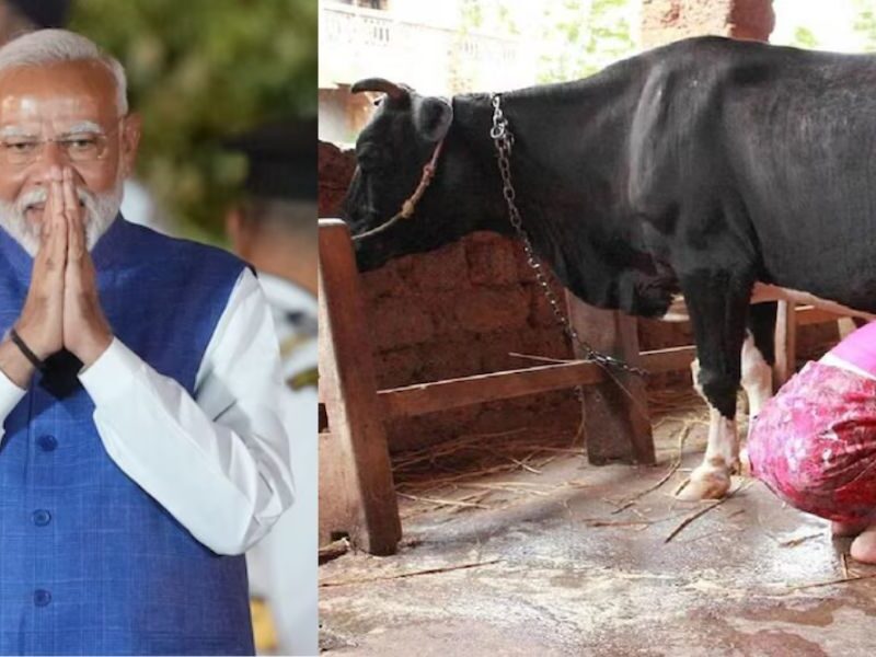 National-Gopal-Ratna-Award-2024-If-You-Are-Rearing-Cow-Buffalo-At-Home-You-Will-Get-Rs-10-Lakh-Government-Made-A-Big-Announcement