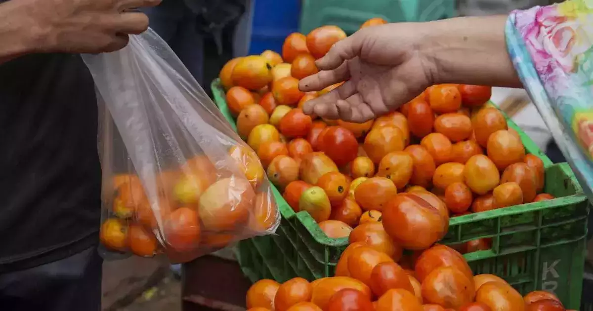 Tomato Price