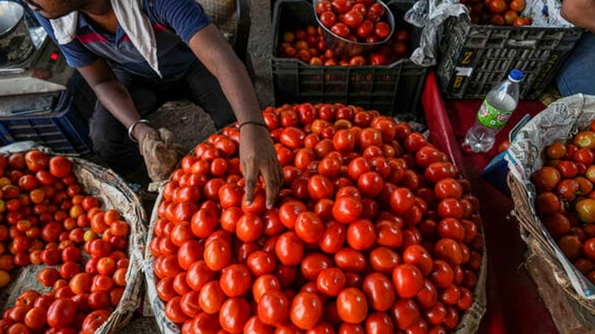 Tomato Price