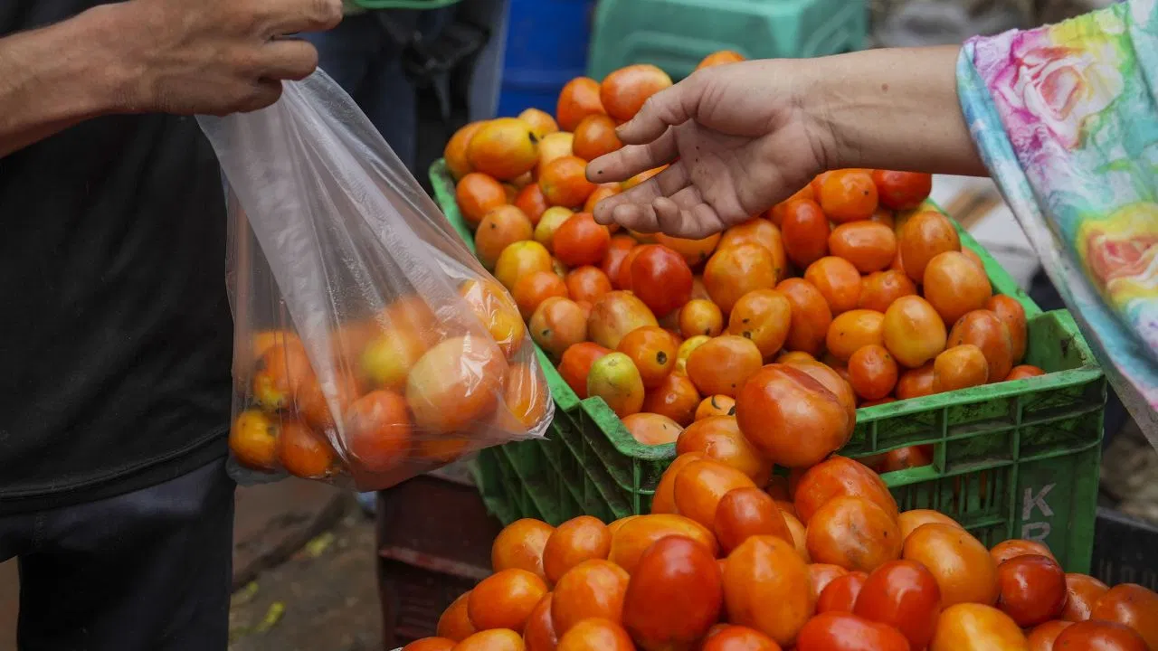 Vegetable Price Today