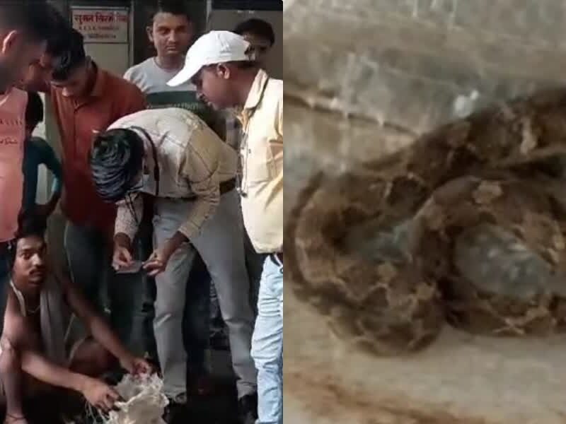 Man-Bites-Snake-In-Bihar-And-Snake-Died