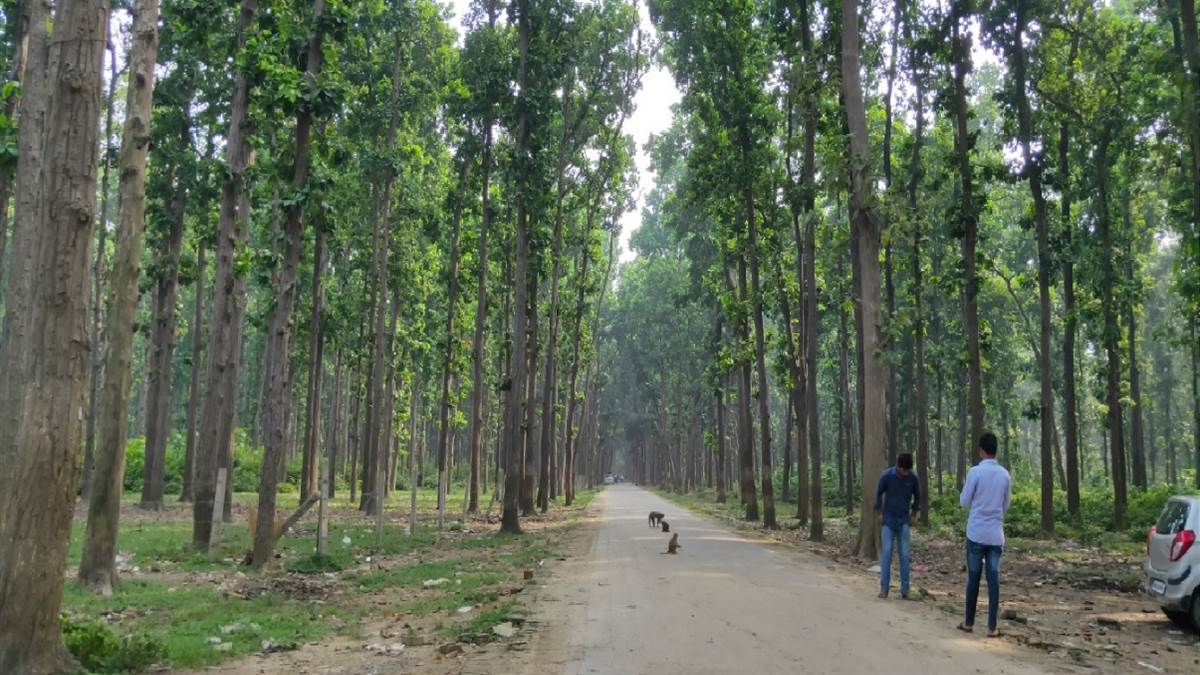 Most Haunted Places In India