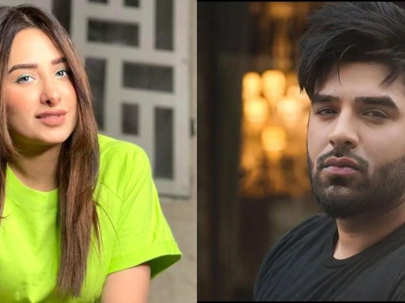After-Living-In-A-Live-In-Relationship-For-Three-Years-Mahira-Sharmas-Truth-Came-To-Light-Paras-Chhabras-Pain-Over-Breakup-Says-Not-Together