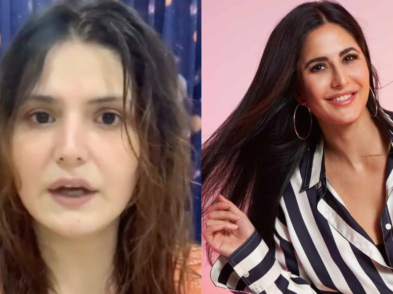 Zarine Khan Entered Bollywood As Katrina'S Lookalike, Now The Condition Of The Beautiful Actress Has Gone From Bad To Worse