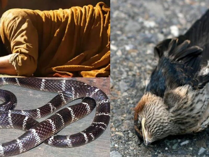 Weirdest-Villages-Of-India-Your Eyes Will Be Wide Open After Seeing The Truth Of These Villages