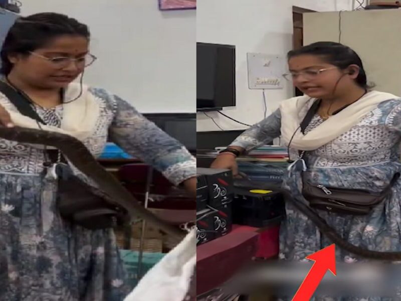 Snake-Catcher-Girl-Video-This-28-Year-Old-Ordinary-Girl-Has-Caught-984-Snakes-Has-Been-Doing-This-Work-With-Dumb-Animals-For-10-Years