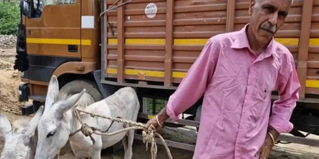 this-former-ias-praveen-kumar-of-india-is-collecting-dust-from-the-road-with-2-donkeys-you-will-be-shocked-to-know-the-reason