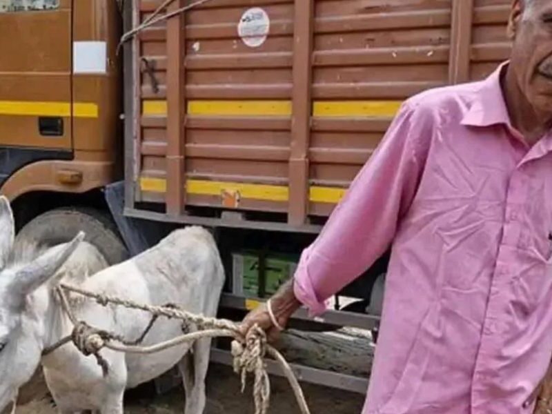 This-Former-Ias-Praveen-Kumar-Of-India-Is-Collecting-Dust-From-The-Road-With-2-Donkeys-You-Will-Be-Shocked-To-Know-The-Reason