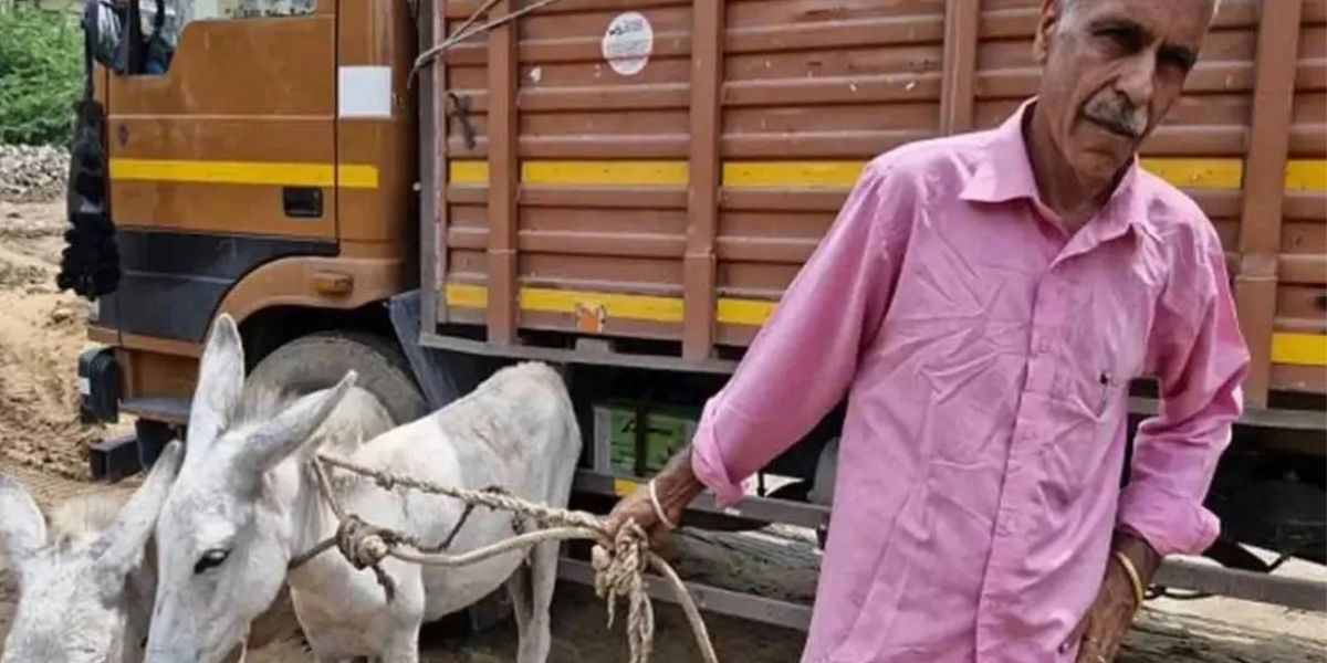 This-Former-Ias-Praveen-Kumar-Of-India-Is-Collecting-Dust-From-The-Road-With-2-Donkeys-You-Will-Be-Shocked-To-Know-The-Reason