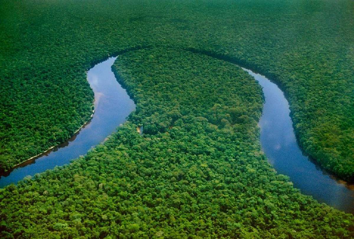 Congo Rainforest