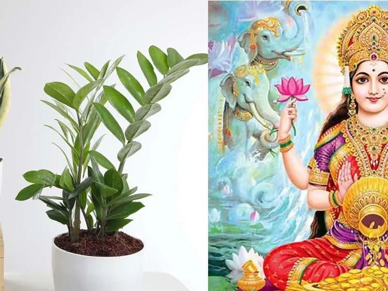 Vastu Upaay